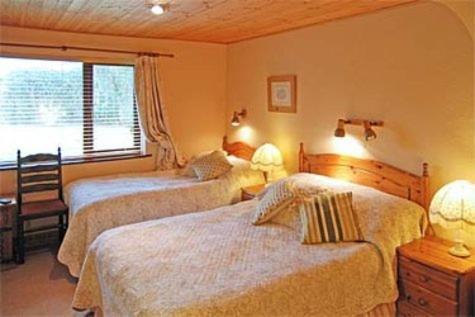 Bunratty Heights Guesthouse Rom bilde